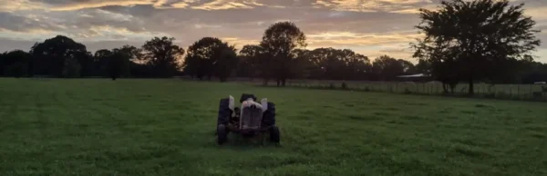 The ol' Ford resting in the pasture